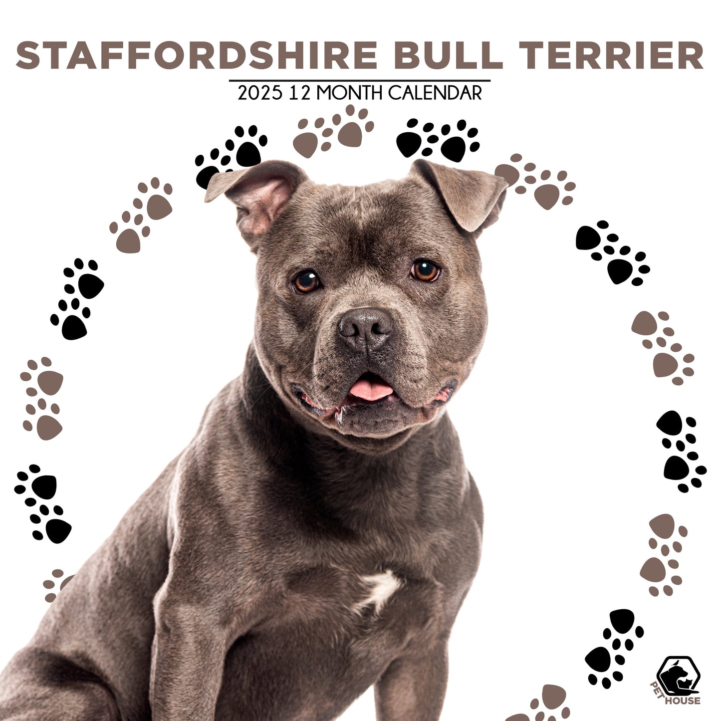 Staffordshire Bull Terrier Calendar Square 2026