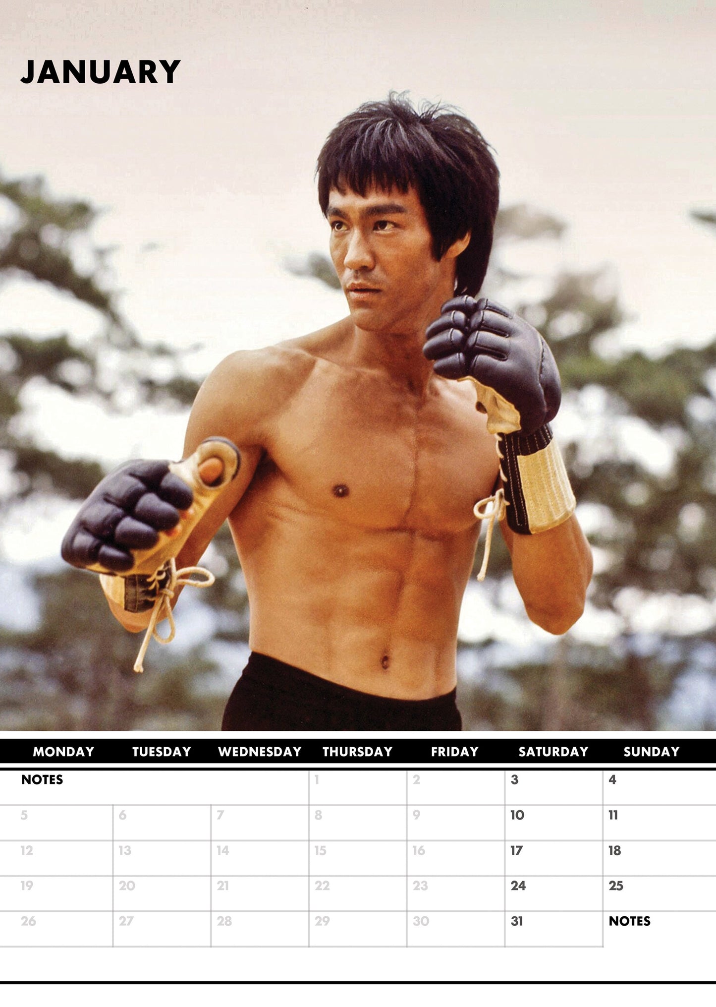 Bruce Lee Calendar 2026