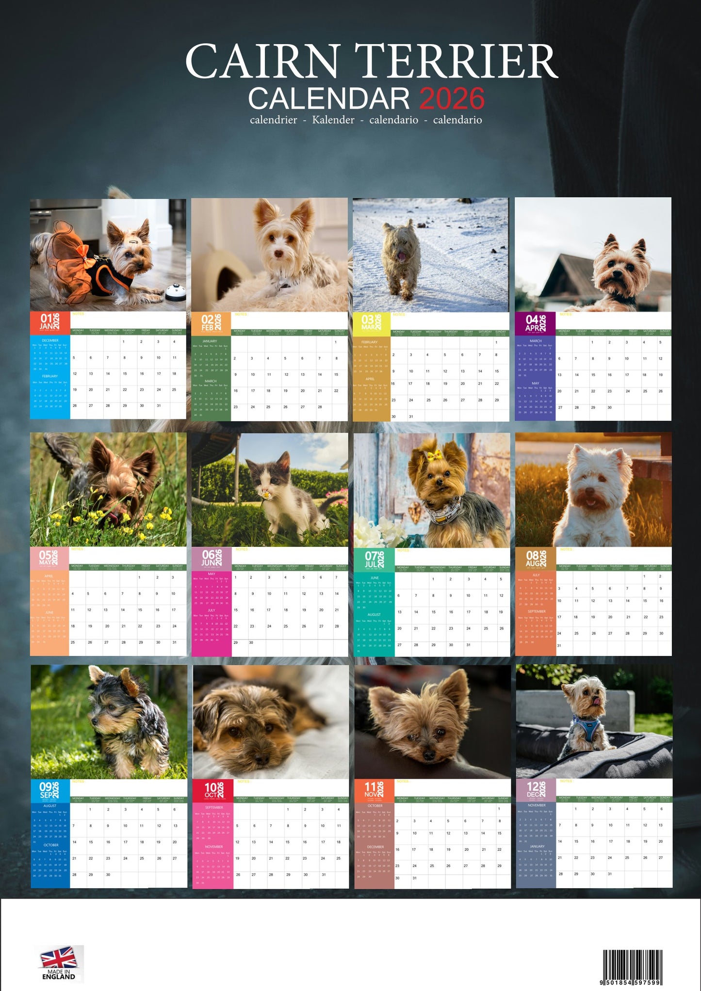 Cairn Terrier Dog Calendar 2026 – M-PRA Range