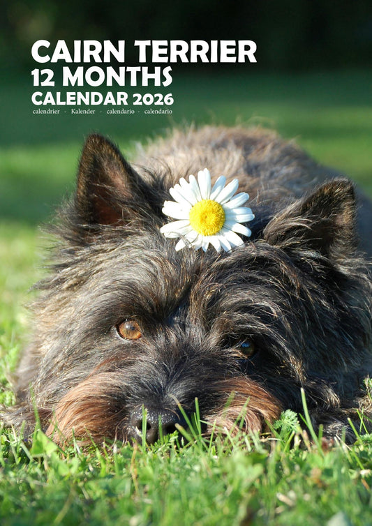 Cairn Terrier Dog Calendar 2026 – M-PRA Range