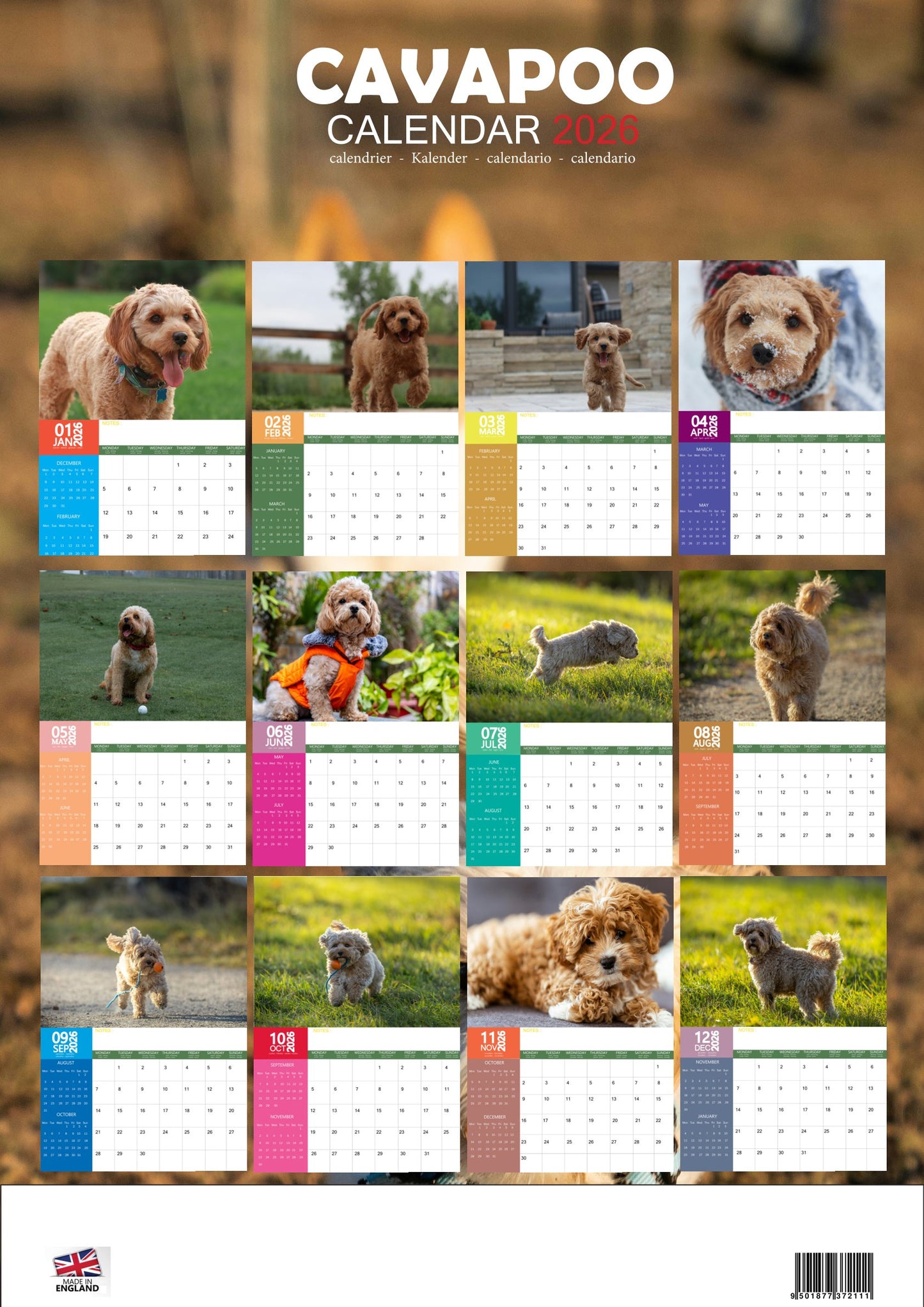 Cavapoo Dog Calendar 2026 – M-PRA Range