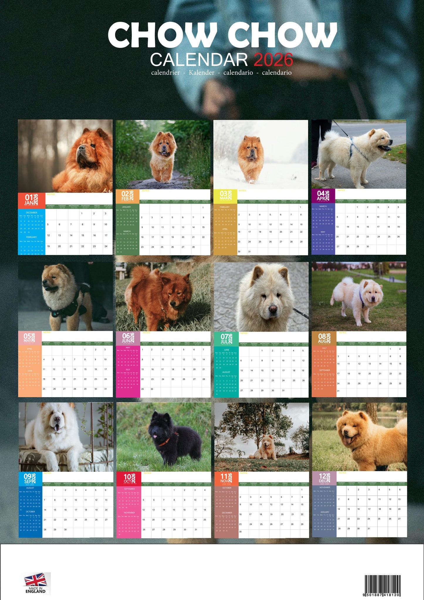 Chow Chow Dog Calendar 2026 – M-PRA Range
