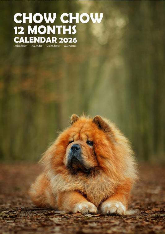 Chow Chow Dog Calendar 2026 – M-PRA Range