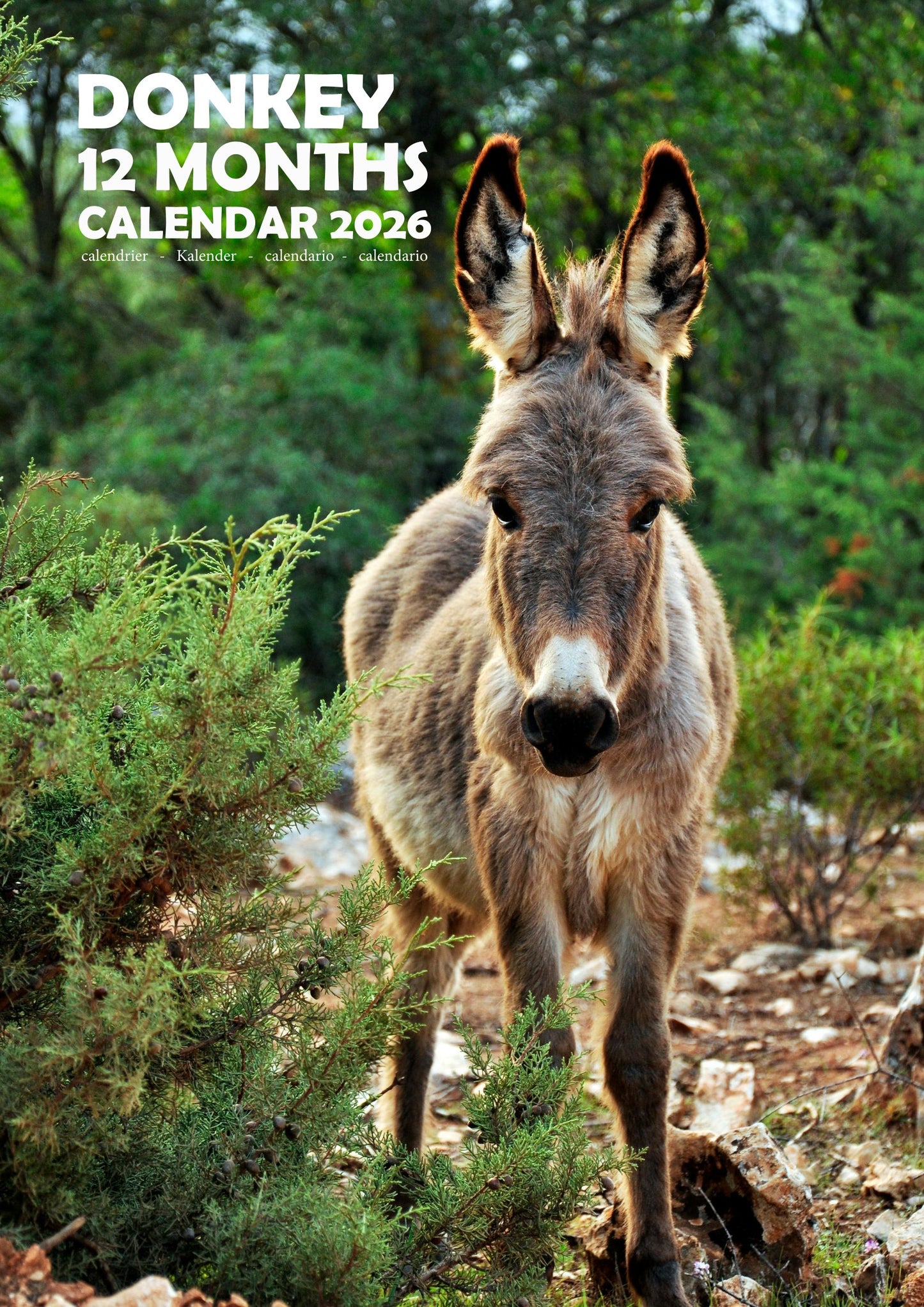 Donkey Calendar 2026 – M-PRA Range