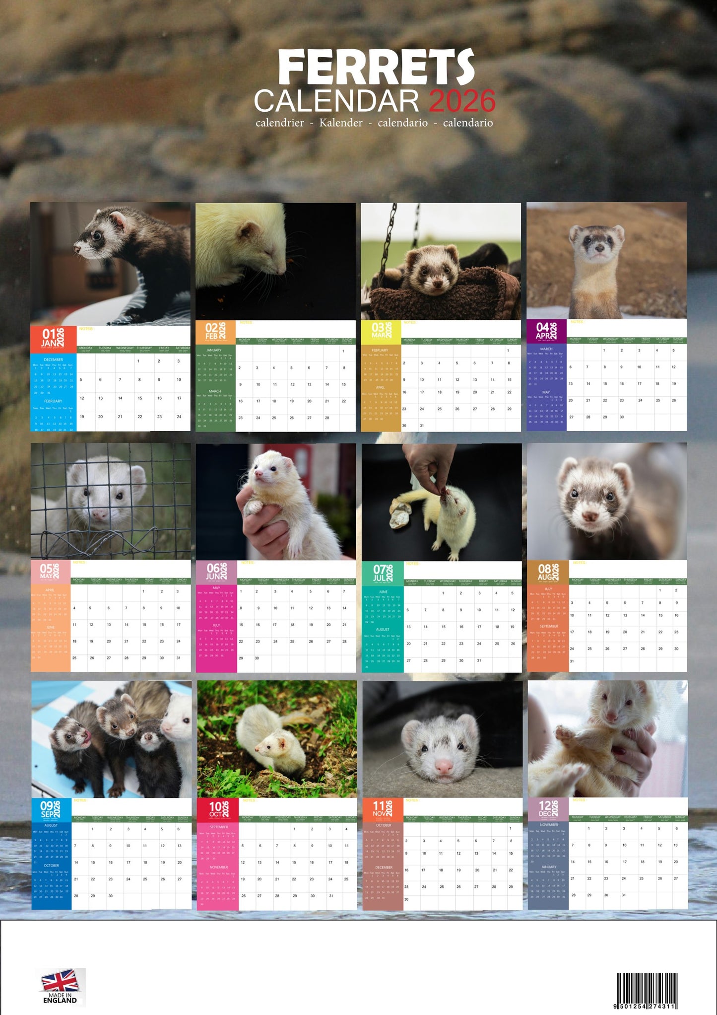 Ferrets Calendar 2026 – M-PRA Range