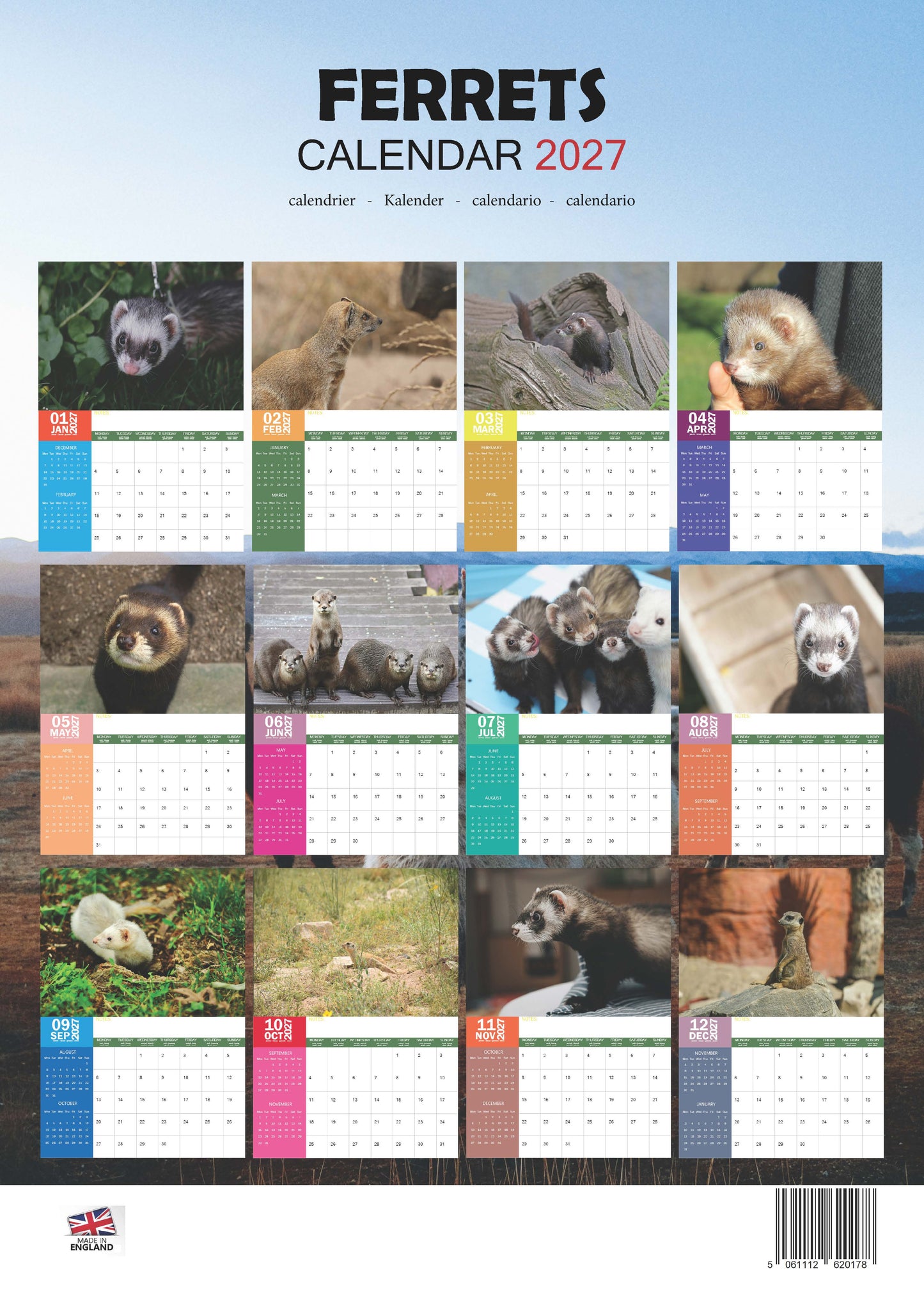 Ferrets Calendar 2027 – M-PRA Range