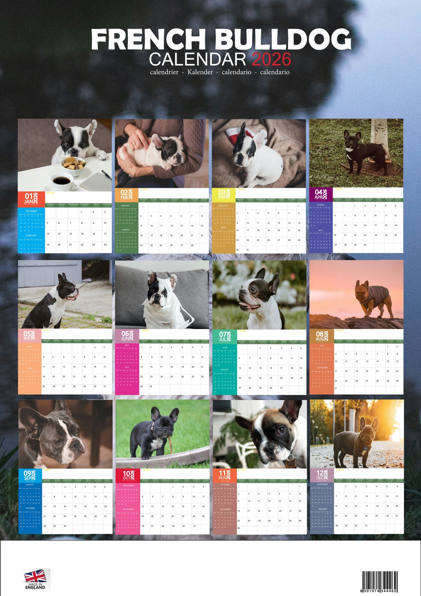 French Bulldog Calendar 2026 – M-PRA Range