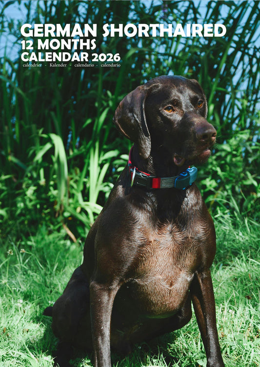 German Shorthaired Dog Calendar 2026 – M-PRA Range