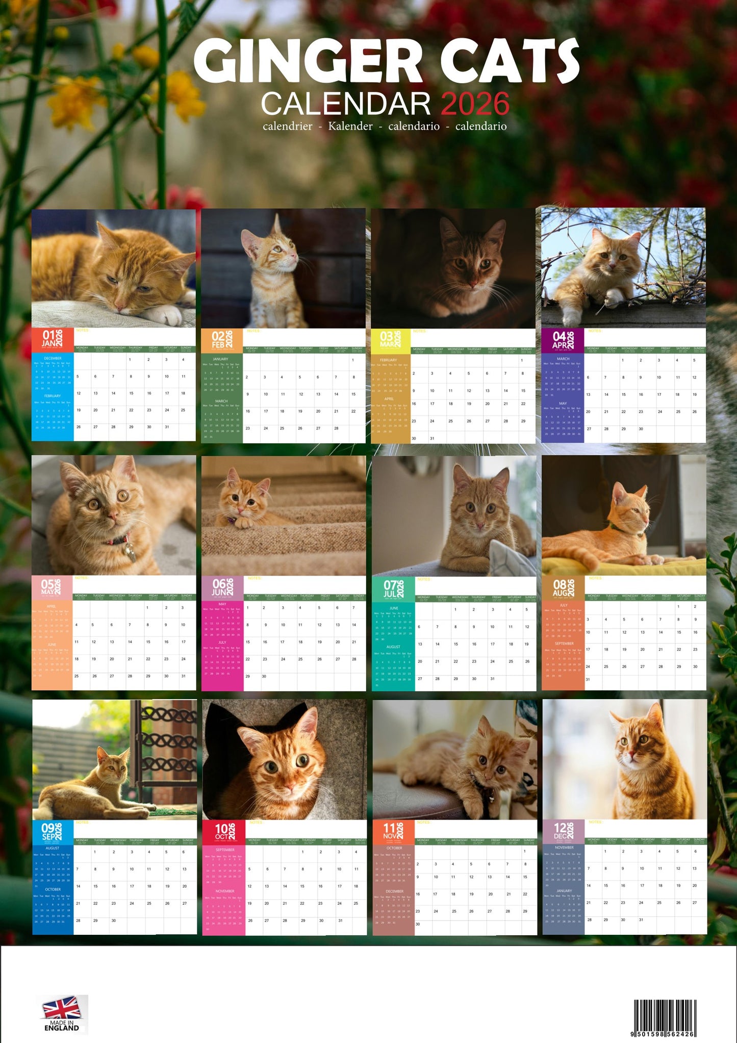 Ginger Cats Calendar 2026 – M-PRA Range