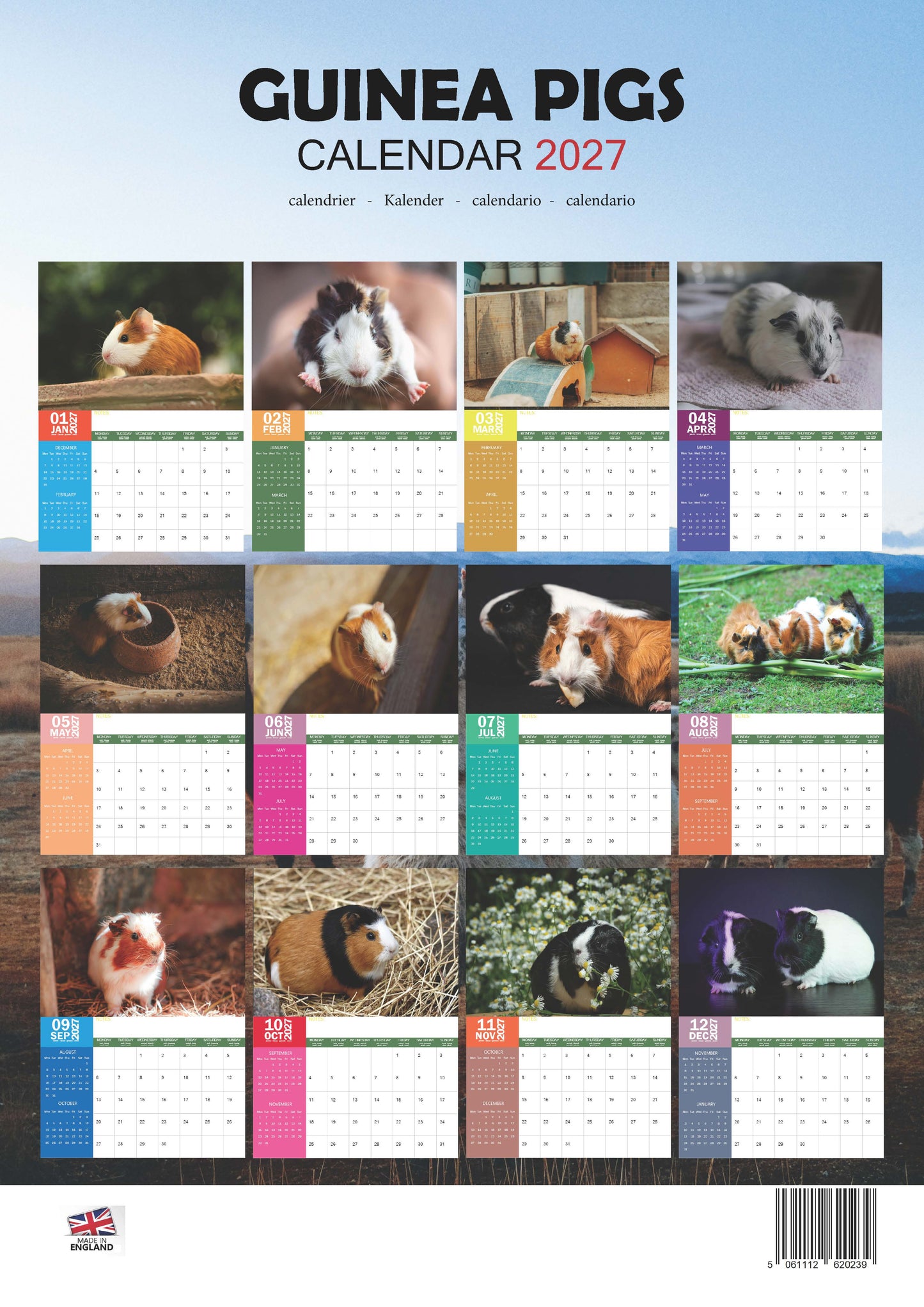 Guinea Pigs Calendar 2027 – M-PRA Range