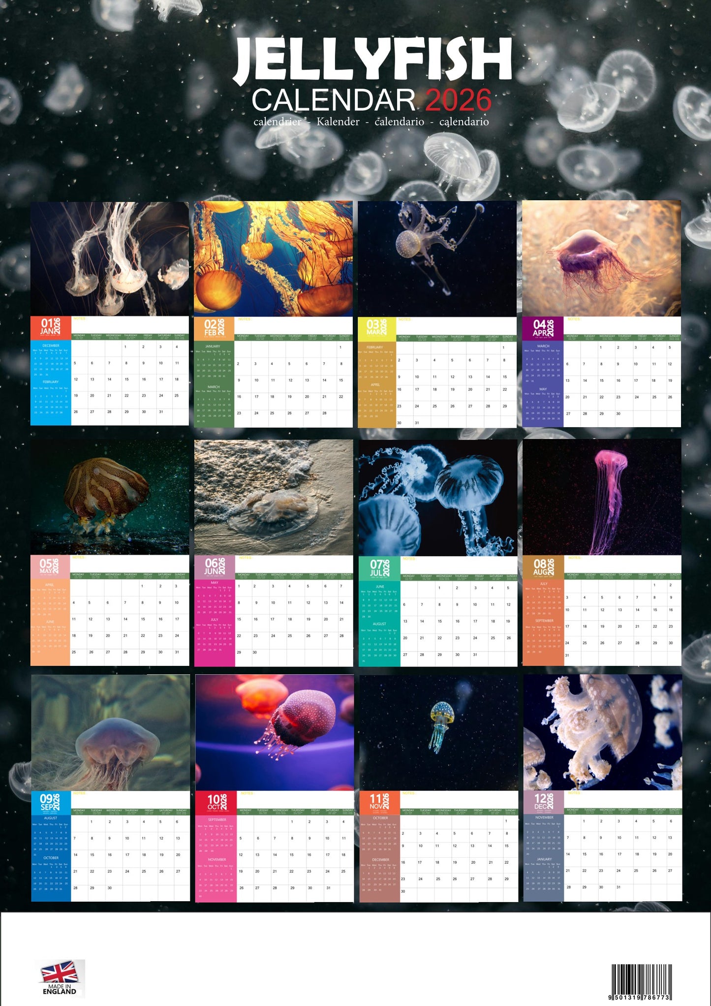 Jellyfish Calendar 2026 – M-PRA Range