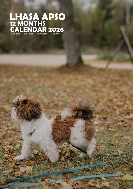 Lhasa Apso Dog Calendar 2026 – M-PRA Range