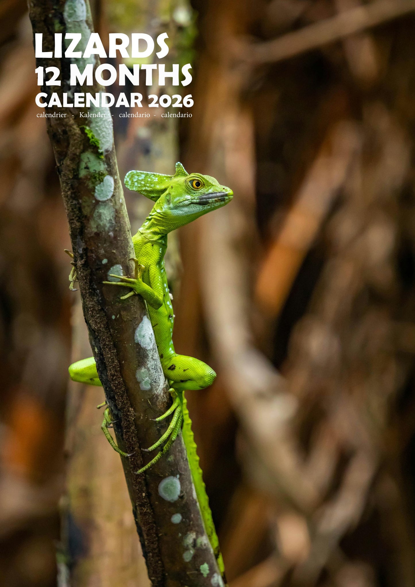 Lizard Calendar 2026 – M-PRA Range