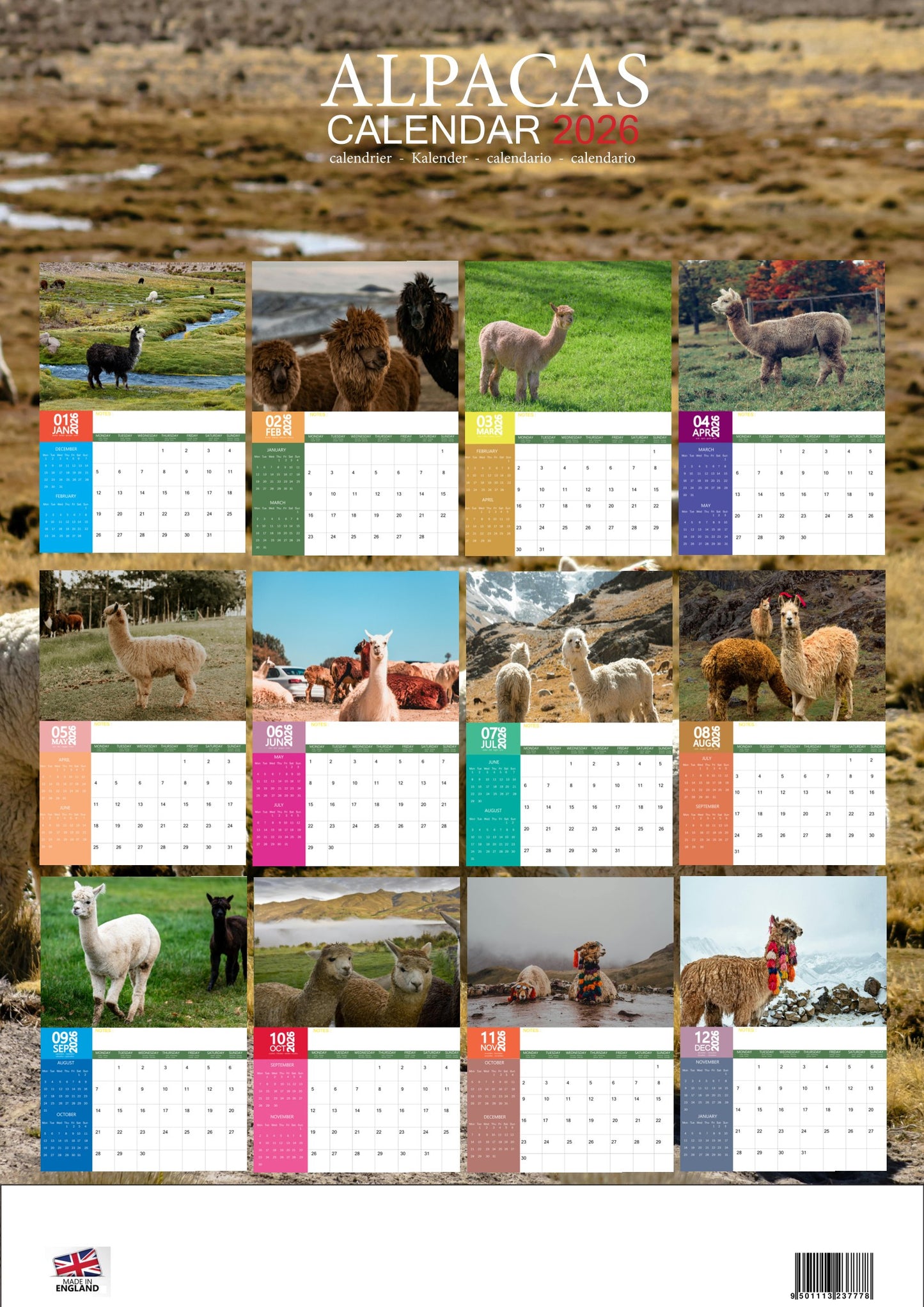Alpacas Calendar 2026 – M-PRA Range