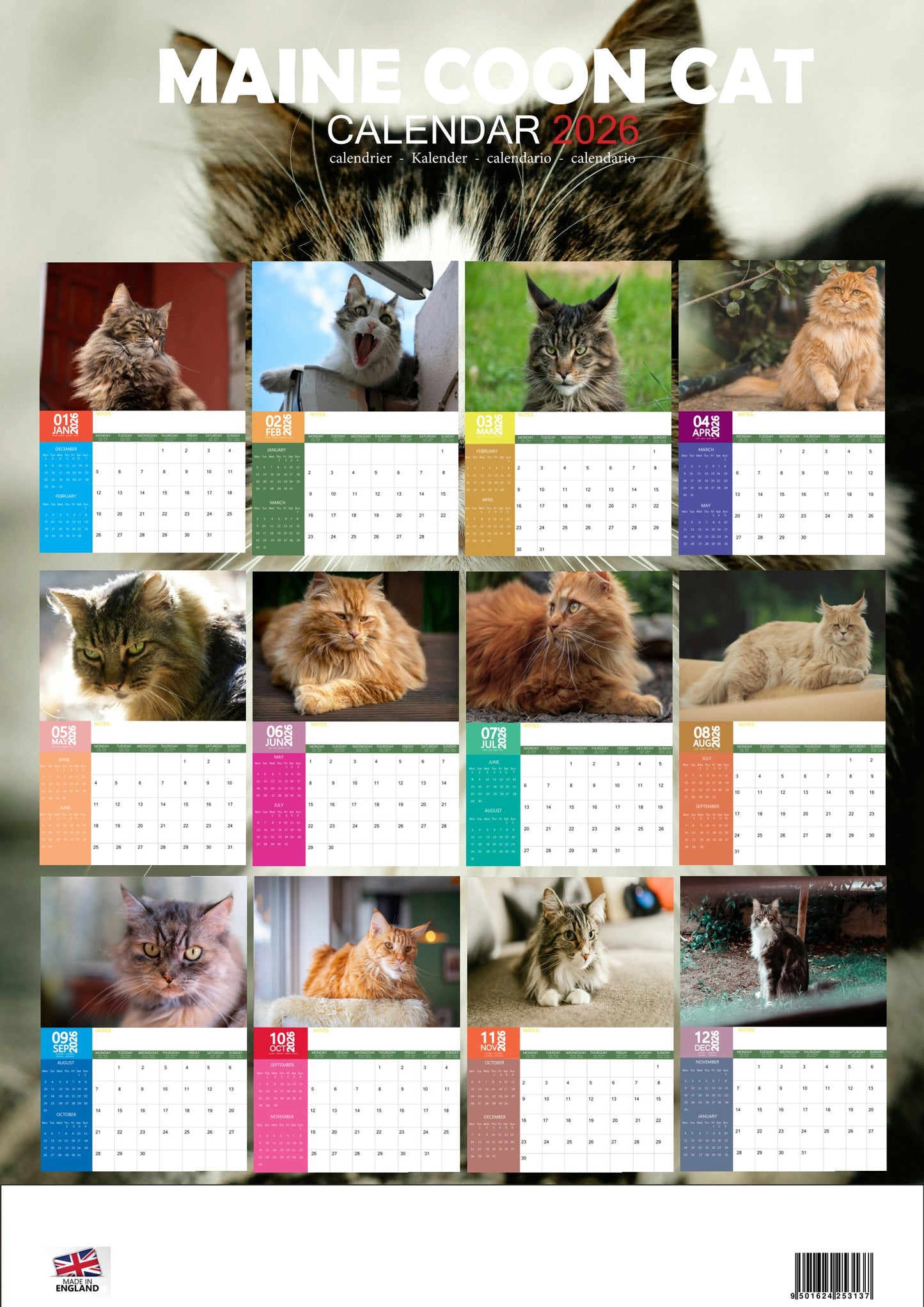 Maine Coon Cat Calendar 2026 – M-PRA Range