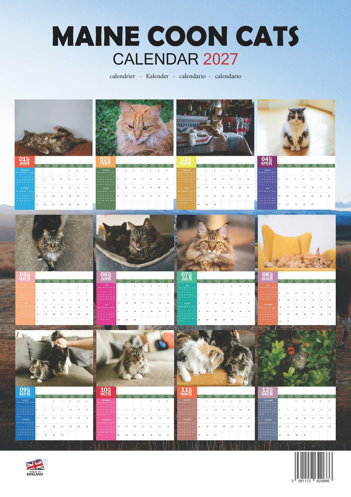 Maine Coon Cats Calendar 2027 – M-PRA Range