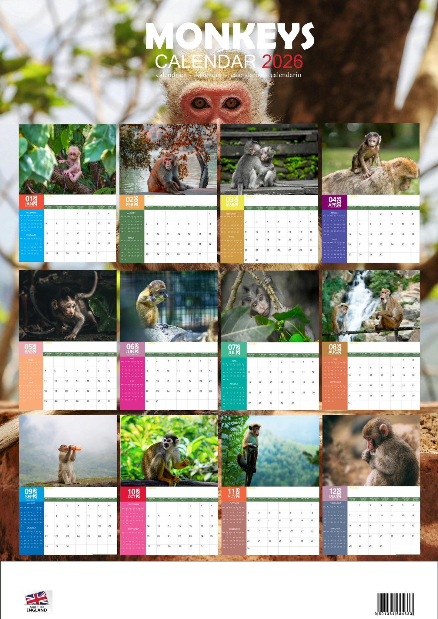 Monkeys Calendar 2026 – M-PRA Range