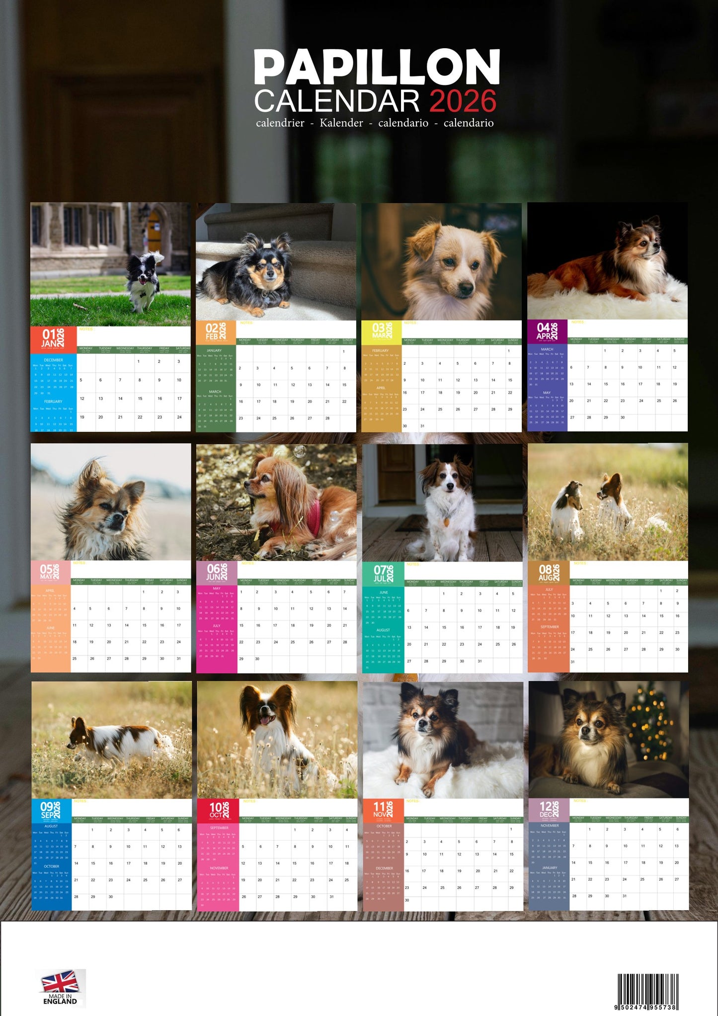 Papillon Dog Calendar 2026 – M-PRA Range
