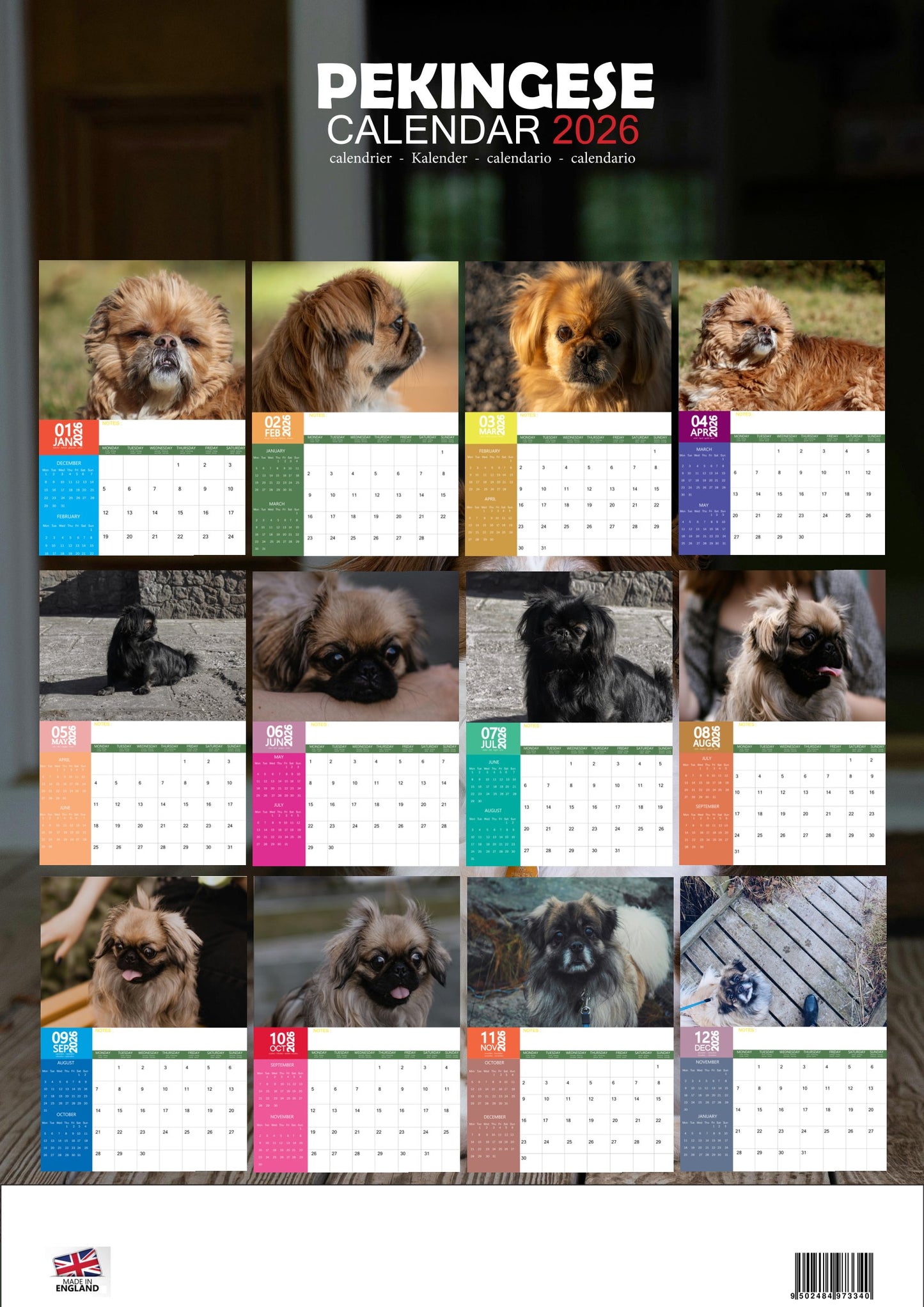 Pekingese Dog Calendar 2026 – M-PRA Range