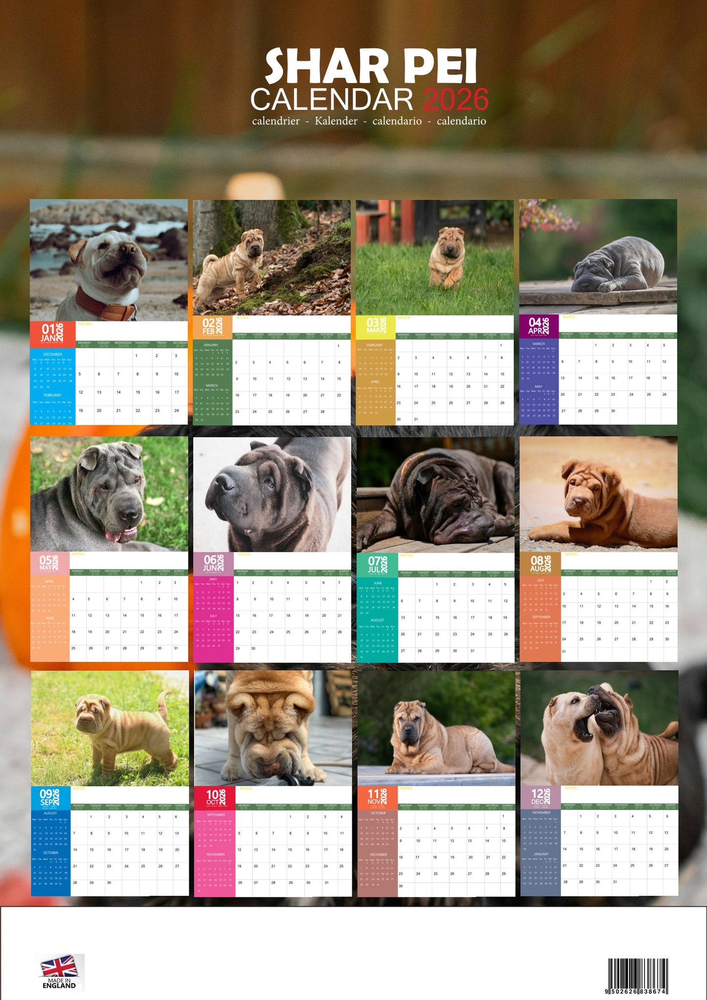 Shar Pei Dog Calendar 2026 – M-PRA Range