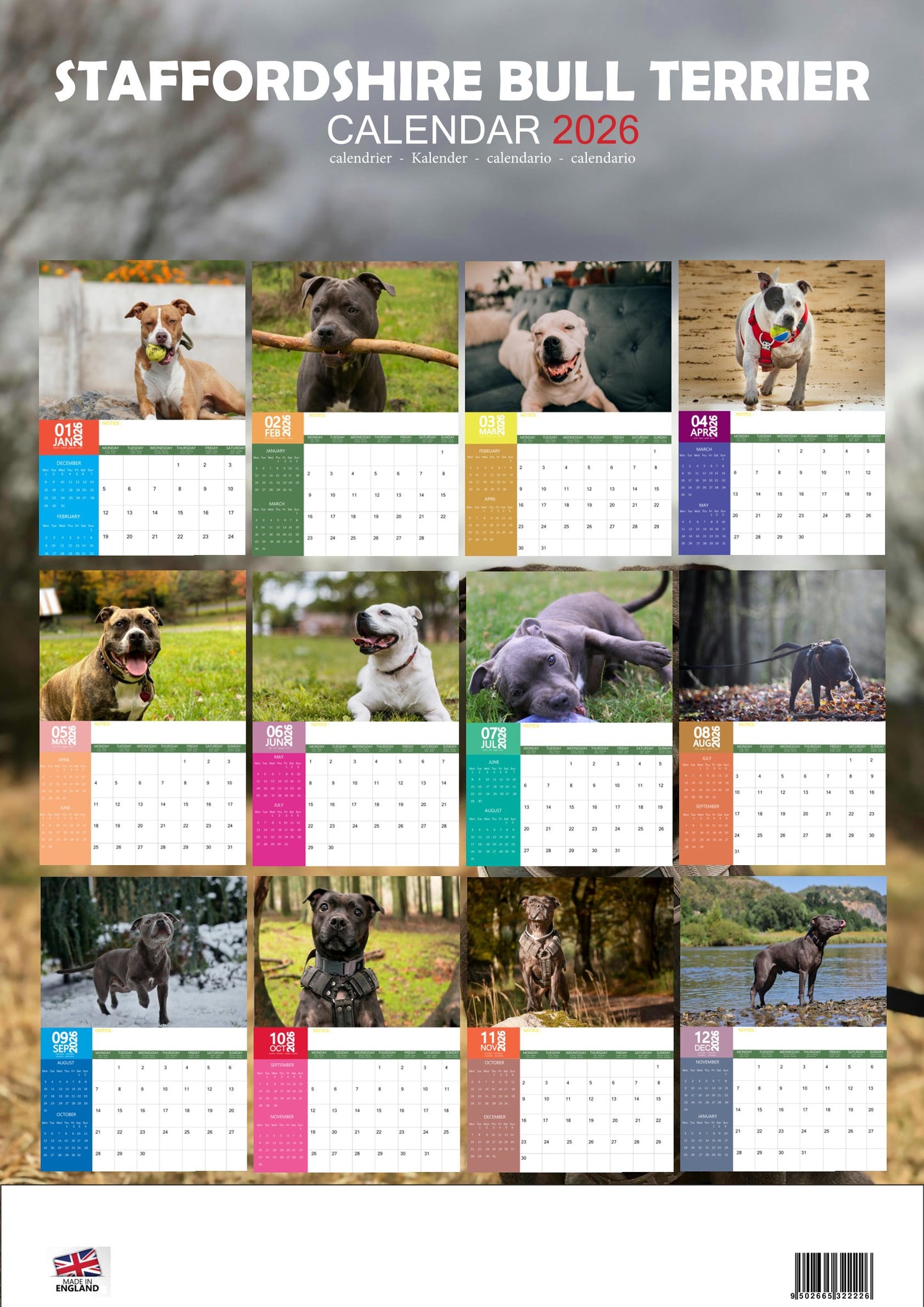 Staffordshire Bull Terrier Dog Calendar 2026 – M-PRA Range