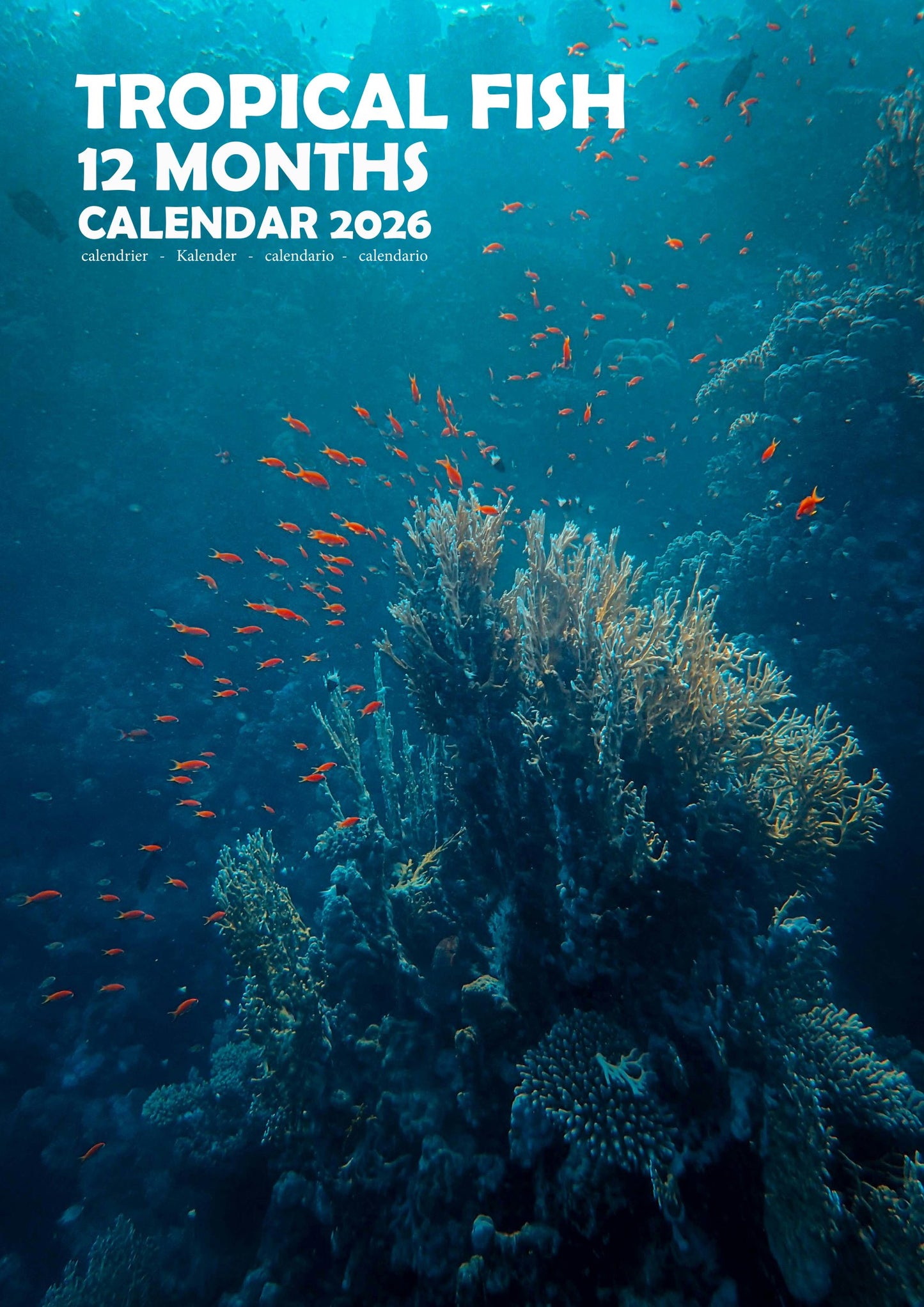 Tropical Fish Calendar 2026 – M-PRA Range