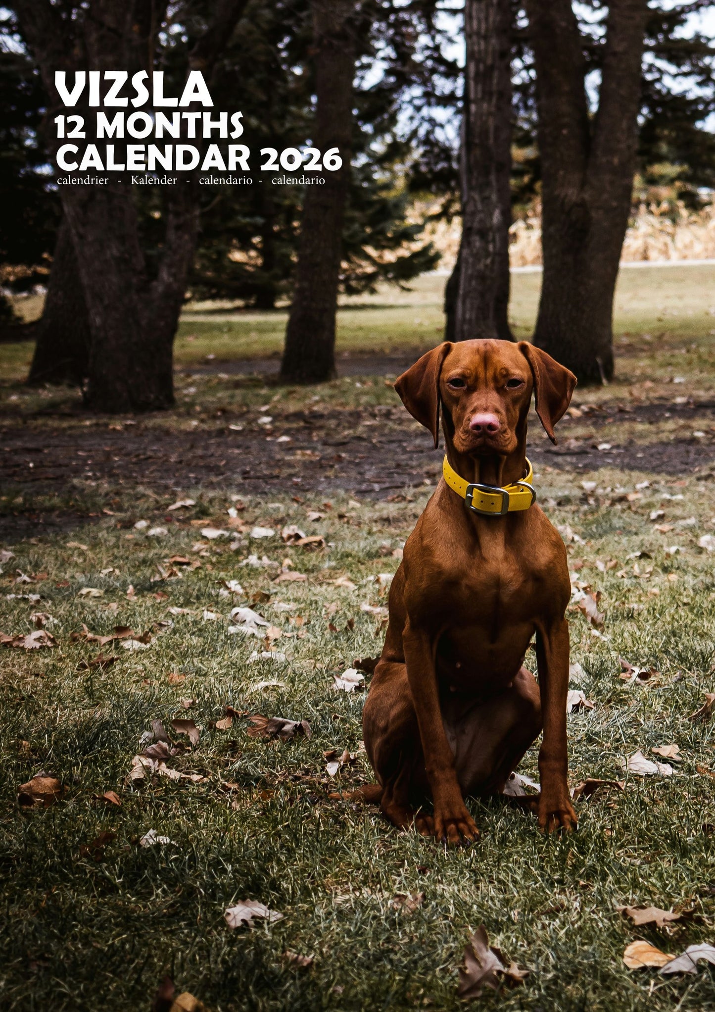 Vizsla Dog Calendar 2026 – M-PRA Range