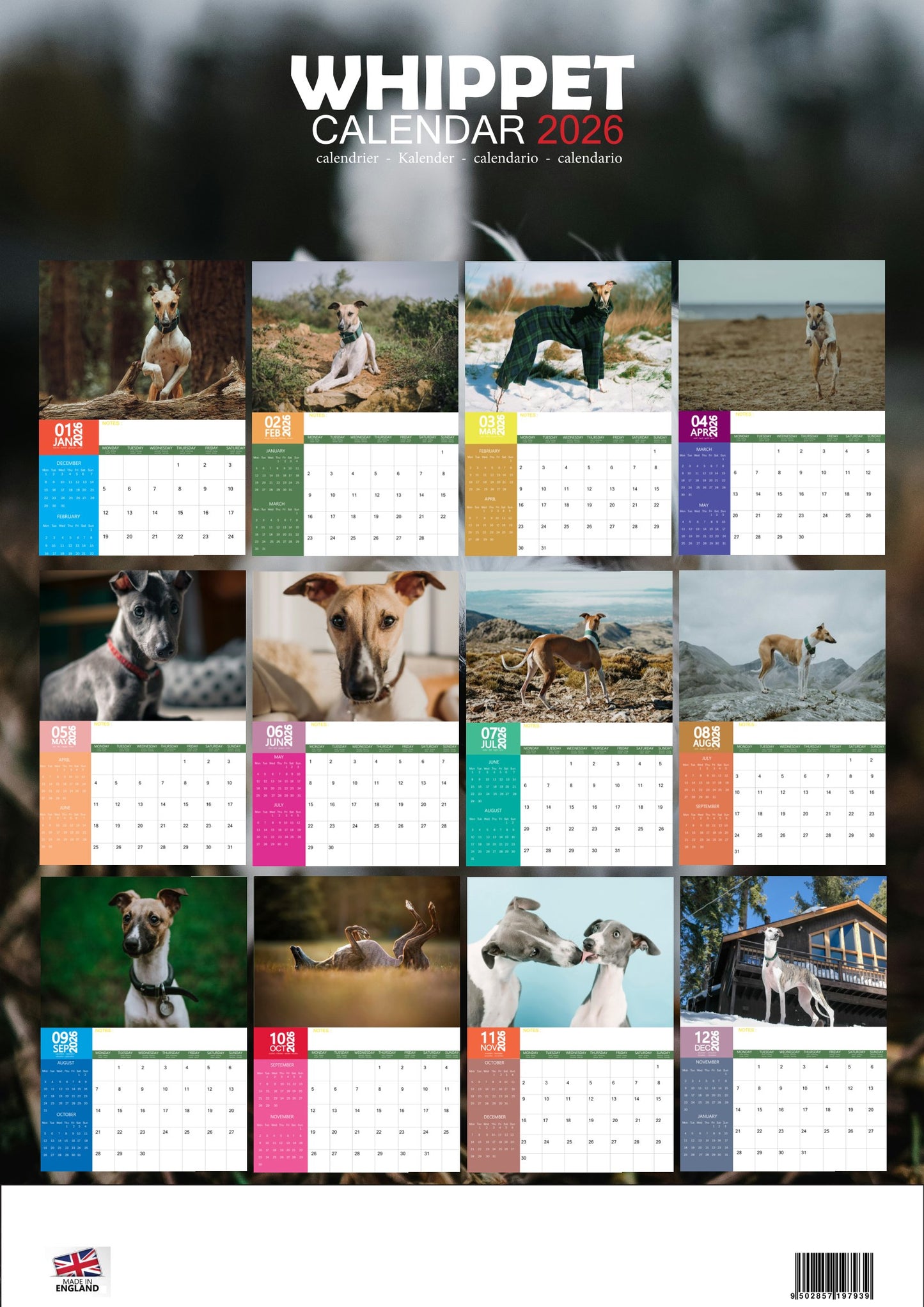 Whippet Dog Calendar 2026 – M-PRA Range