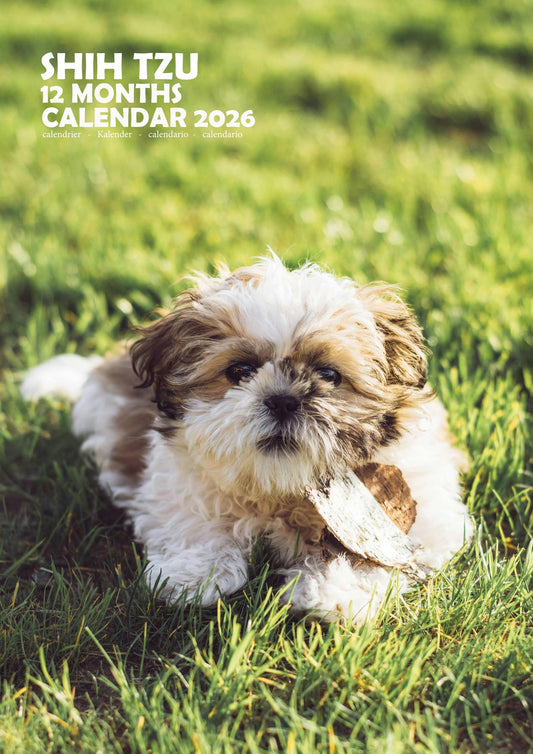 Shih Tzu Dog Calendar 2026 – M-PRA Range