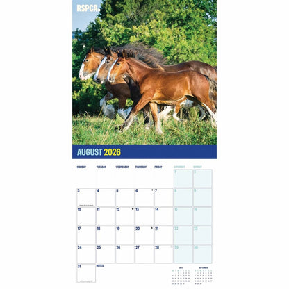 RSPCA British Horses & Ponies Square Calendar 2026 – Celebrate Equine Beauty All Year Long
