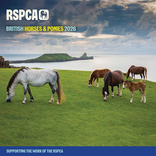RSPCA British Horses & Ponies Square Calendar 2026 – Celebrate Equine Beauty All Year Long
