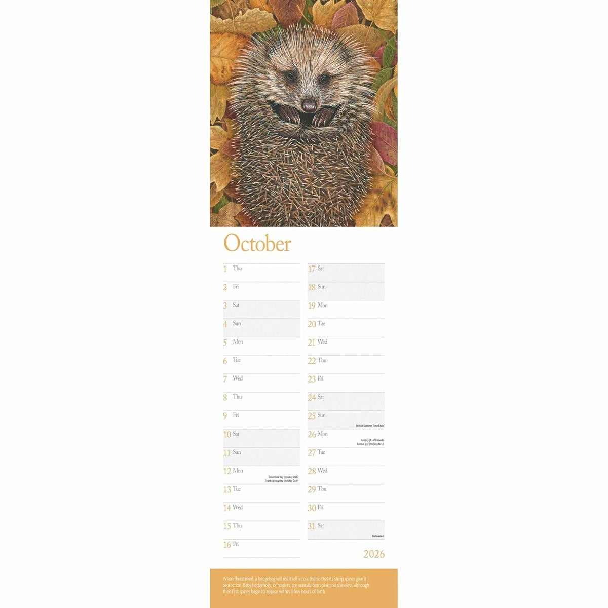 Robert Fuller British Wildlife In Art Slim Calendar 2026 – Nature’s Beauty in Every Brushstroke