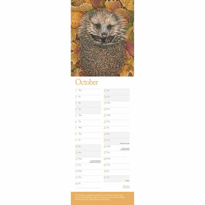 Robert Fuller British Wildlife In Art Slim Calendar 2026 – Nature’s Beauty in Every Brushstroke