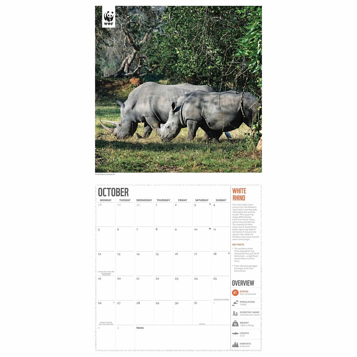WWF Amazing Wildlife Square Calendar 2026 – A Global Celebration of Nature