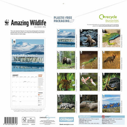 WWF Amazing Wildlife Square Calendar 2026 – A Global Celebration of Nature