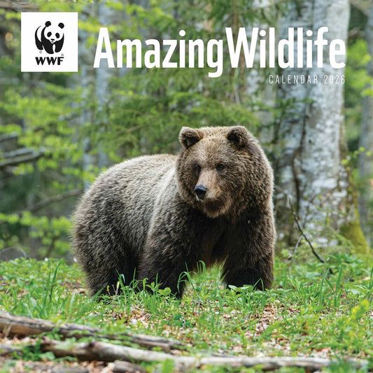 WWF Amazing Wildlife Square Calendar 2026 – A Global Celebration of Nature