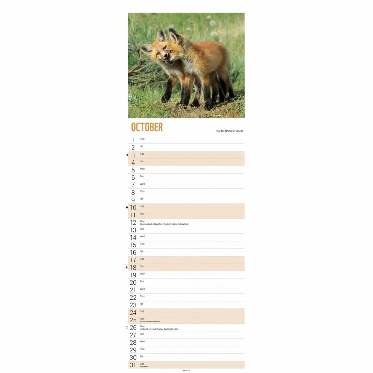 WWF Baby Animals Slim Calendar 2026 – Discover the World of Adorable Wildlife