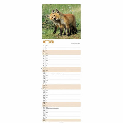 WWF Baby Animals Slim Calendar 2026 – Discover the World of Adorable Wildlife