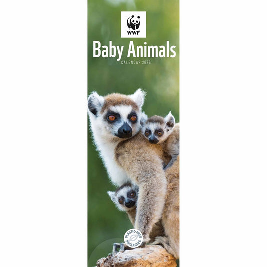 WWF Baby Animals Slim Calendar 2026 – Discover the World of Adorable Wildlife