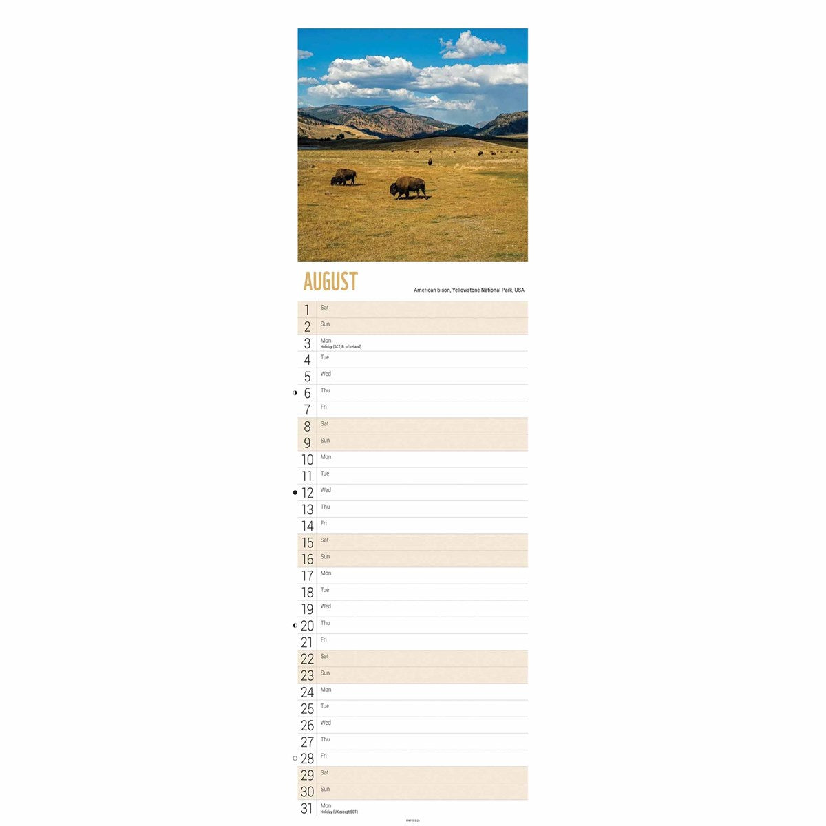 WWF Beautiful World Slim Calendar 2026 – Celebrate Our Planet’s Wildlife