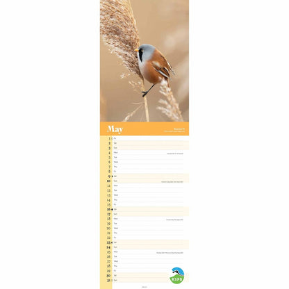 RSPB Birds Slim Calendar 2026 – Support UK Nature Conservation