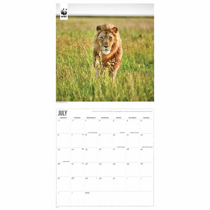 WWF Big Cats Square Calendar 2026 – Roaring Beauty All Year Round
