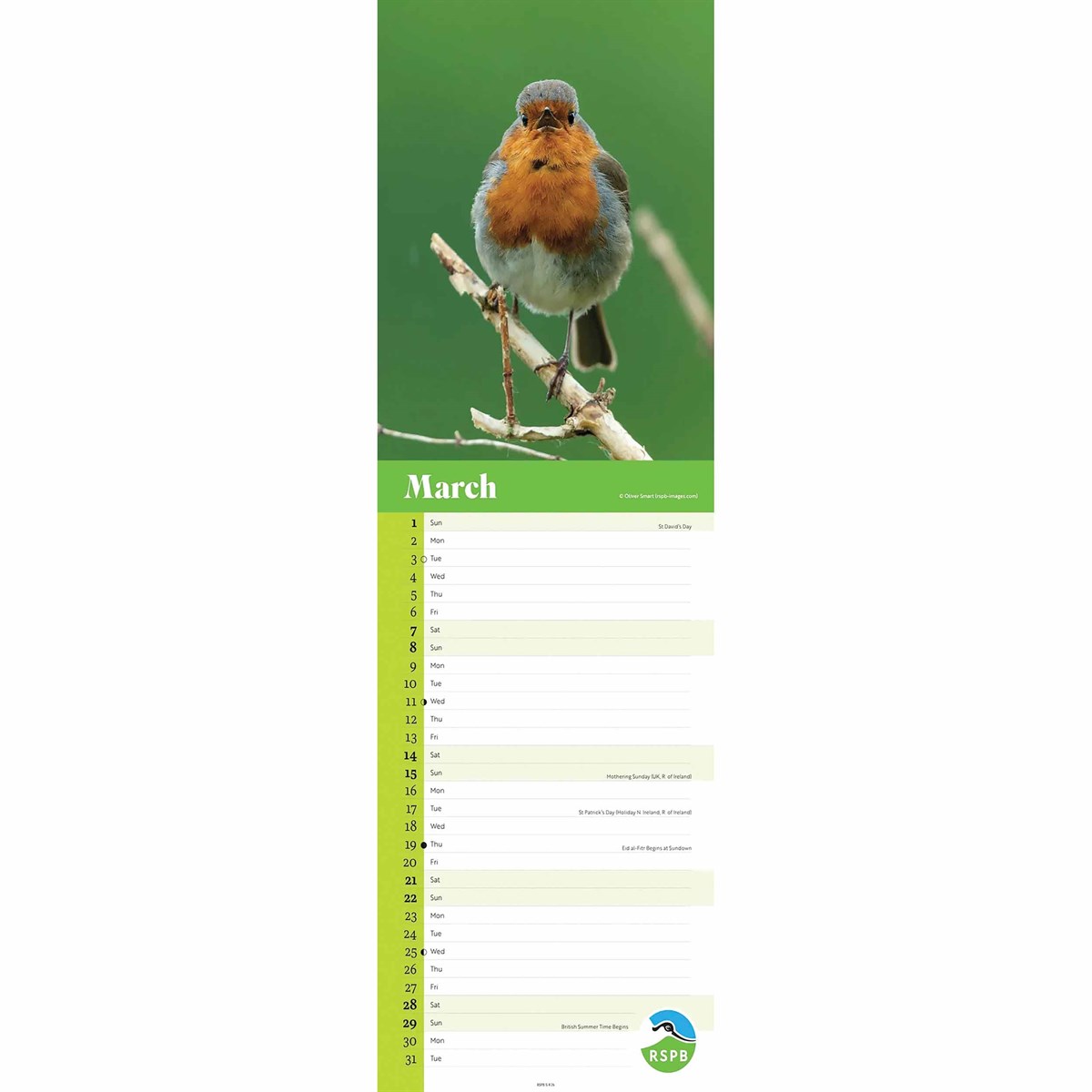 RSPB Robins Slim Calendar 2026 – Celebrate Britain’s Beloved Red-Breasted Friend