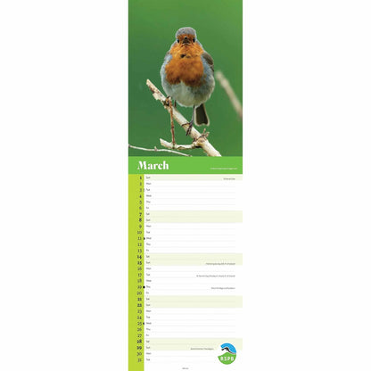 RSPB Robins Slim Calendar 2026 – Celebrate Britain’s Beloved Red-Breasted Friend