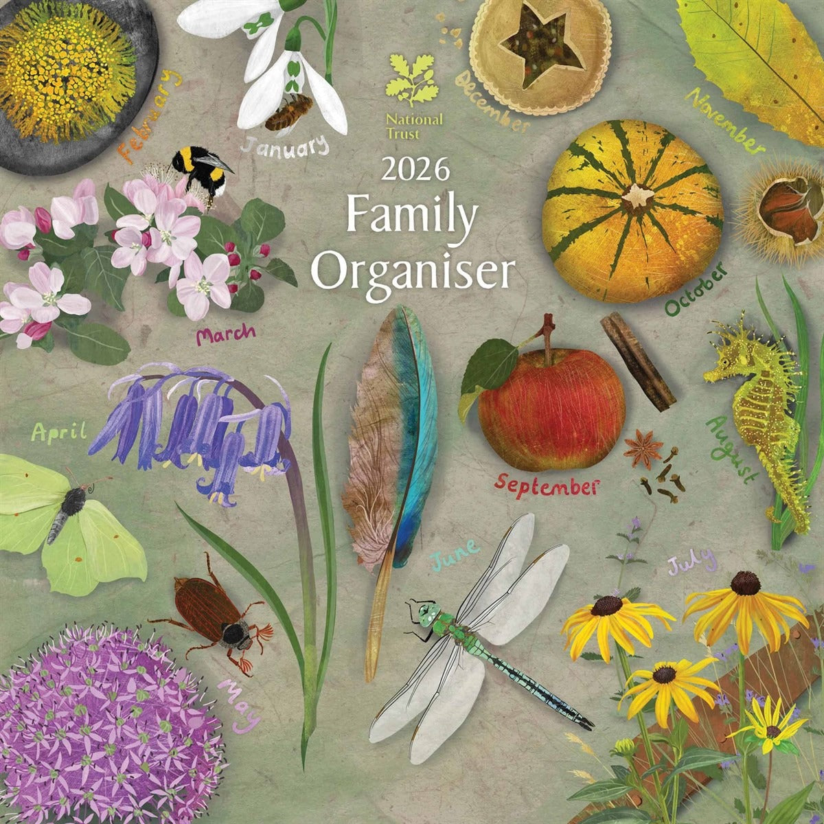 National Trust Family Square Organiser 2026