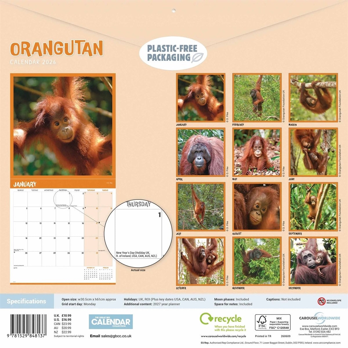 Orangutan Square Calendar 2026 – A Tribute to the Great Apes