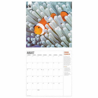 WWF Oceans Wall Calendar 2026 – Dive Into the Deep Blue