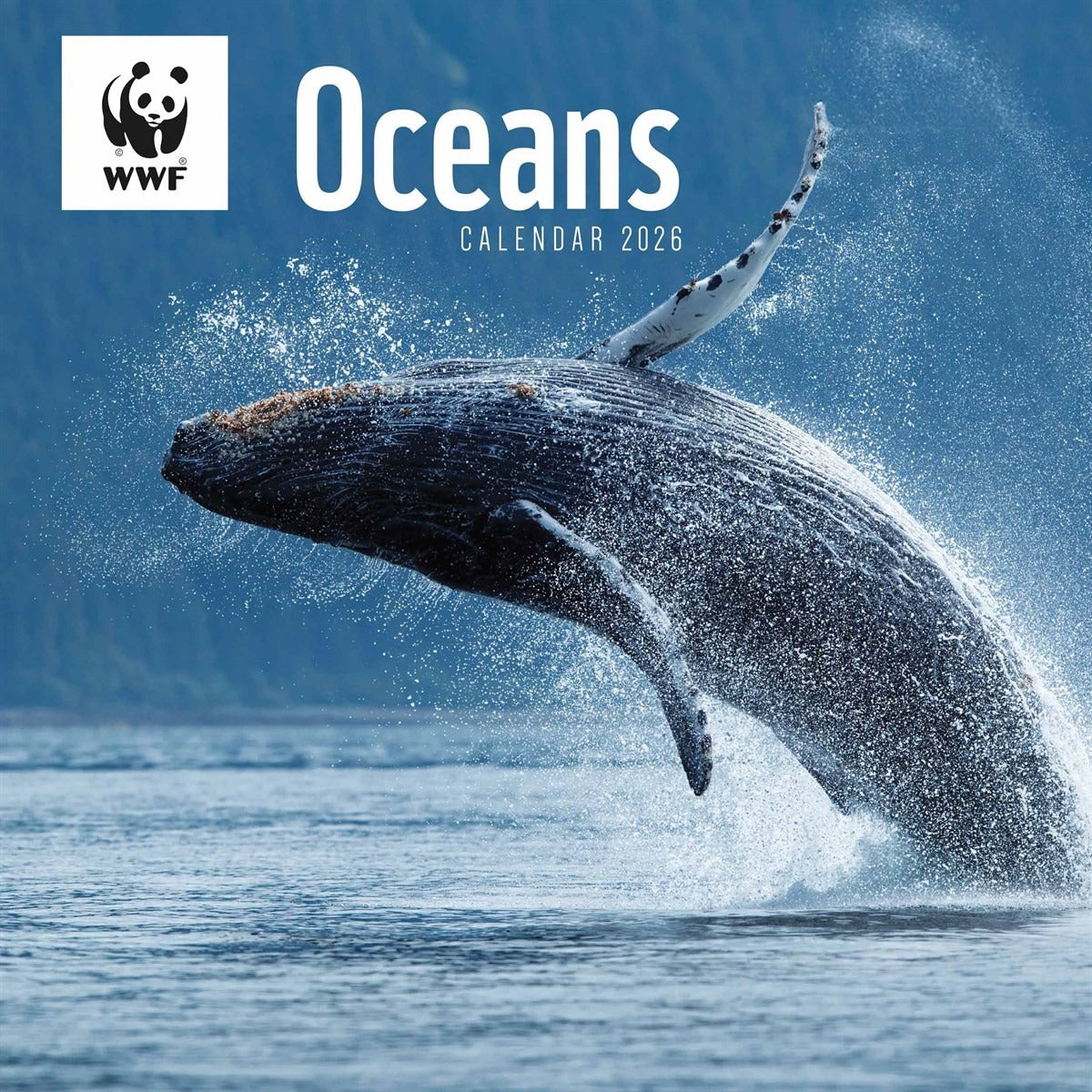 WWF Oceans Wall Calendar 2026 – Dive Into the Deep Blue