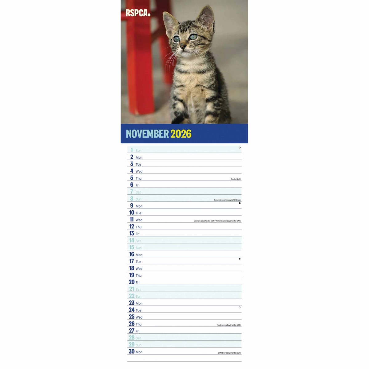 RSPCA I Love Kittens Slim Calendar 2026 – A Purrfect Choice for Cat Lovers