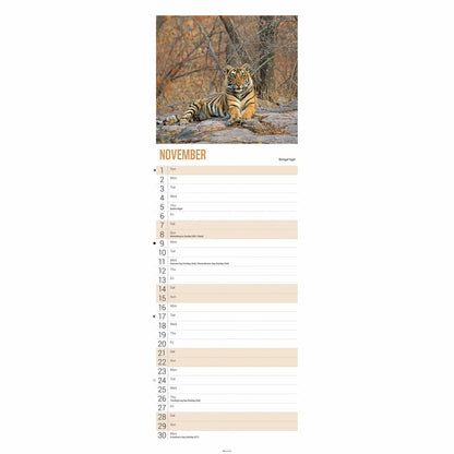 WWF Tigers Slim Calendar 2026 – Majestic Wildlife Photography